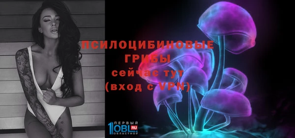 дживик Бронницы