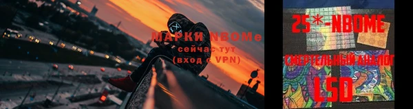 дживик Бронницы