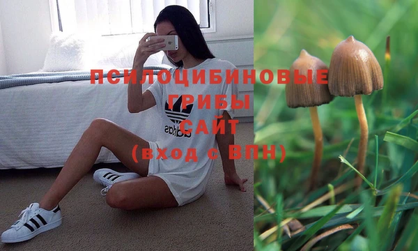 дживик Бронницы