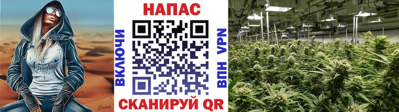 Купить где  Ленинск-Кузнецкий  Марихуана Ganja 